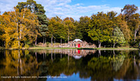 Click to show how this picture will look as a piece of wall art