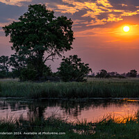 Okavango Delta Sunset Reflection