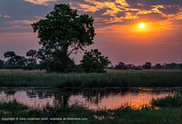 Click to show how this picture will look as a piece of wall art
