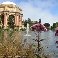 Buy canvas prints of Palace of Fine Arts San Francisco by Daryl Pritchard videos