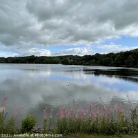 Buy canvas prints of Knypersley reservoir  by Daryl Pritchard videos