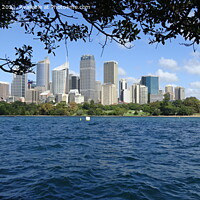 Buy canvas prints of Sydney harbour  by Daryl Pritchard videos