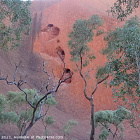 Buy canvas prints of Ayers Rock and trees by Daryl Pritchard videos