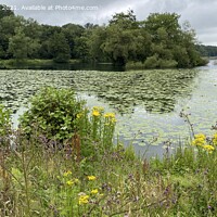 Buy canvas prints of Bathpool lake by Daryl Pritchard videos