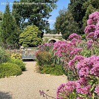 Buy canvas prints of Gardens at chatsworth by Daryl Pritchard videos