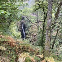 Buy canvas prints of Aria force Lake District waterfall  by Daryl Pritchard videos