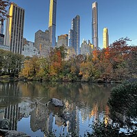 Buy canvas prints of Fall in central park by Daryl Pritchard videos