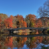 Buy canvas prints of Bow bridge Central park by Daryl Pritchard videos