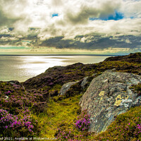 Buy canvas prints of Heather Hills to the Sea by Ivor Bond