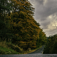 Buy canvas prints of Country Road - Take Me Home by Ivor Bond