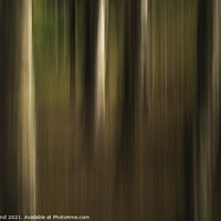 Buy canvas prints of Abstract Trees by Ivor Bond