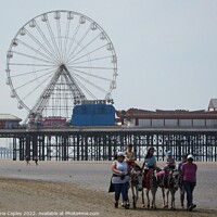 Buy canvas prints of Blackpool beach donkeys by Victoria Copley