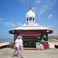 Buy canvas prints of Blackpool north pier by Victoria Copley