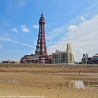 Buy canvas prints of Blackpool tower by Victoria Copley