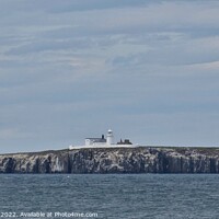 Buy canvas prints of Inner Farne Lighthouse by Victoria Copley