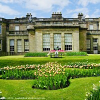 Buy canvas prints of The Grand House at Lyme Park by andrew copley
