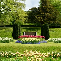 Buy canvas prints of Lyme Park gardens by andrew copley
