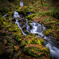 Buy canvas prints of Waterfall In Autumn by Anthony Dillon