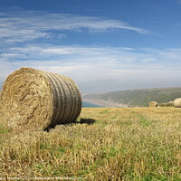Buy canvas prints of Golden Stubble and Hay Bales by Roger Mechan