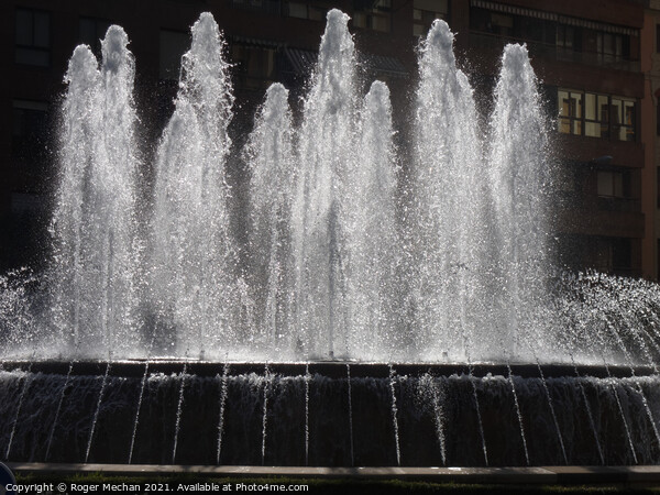 The Beauty of Leon's Sprinkler Fountain Picture Board by Roger Mechan