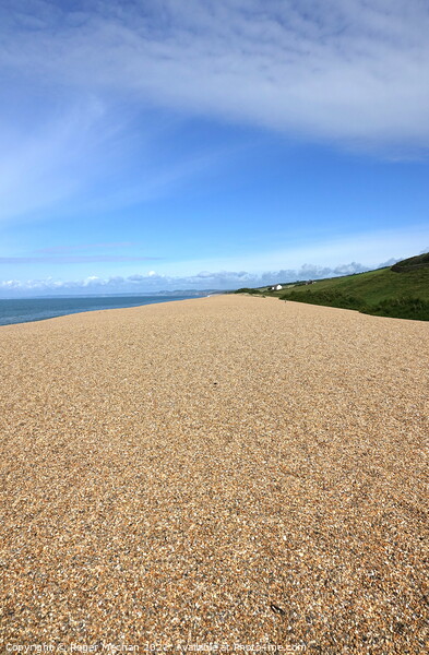 Golden Pebbles and Jurassic Coast Picture Board by Roger Mechan