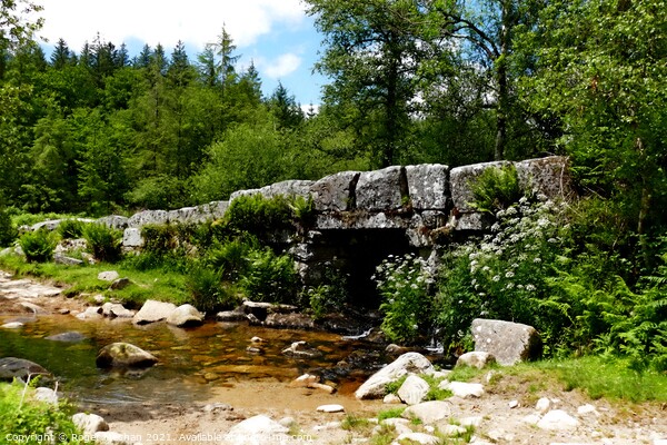 Stone arch bridge amidst Dartmoor greenery Picture Board by Roger Mechan