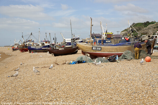 Hastings' Beached Fishing Fleet Picture Board by Roger Mechan