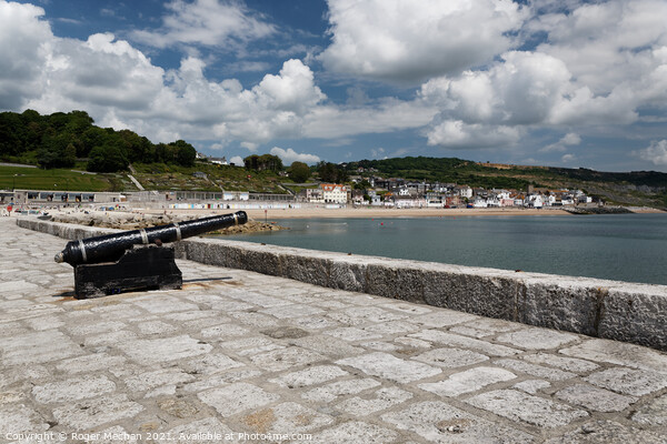 A Picturesque View of Lyme Regis Picture Board by Roger Mechan