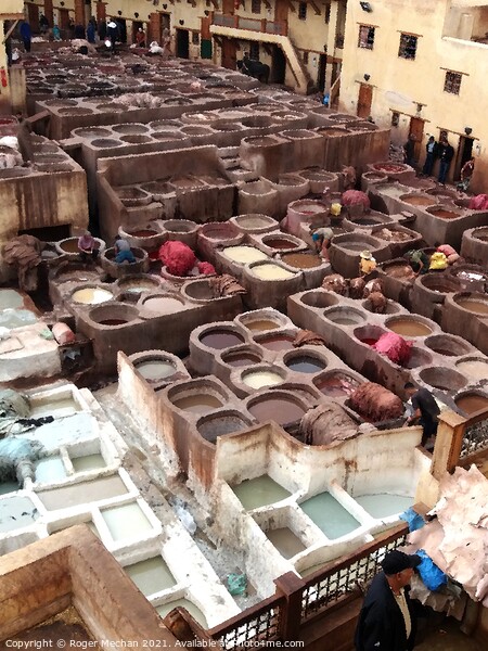 An Immersive Experience in Fez's Leather Tanneries Picture Board by Roger Mechan