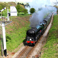 Buy canvas prints of Steam Train Through Dorset Countryside by Roger Mechan