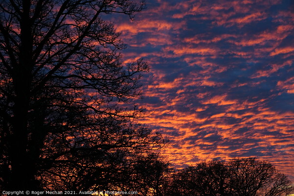 Fiery Winter Sunset Picture Board by Roger Mechan