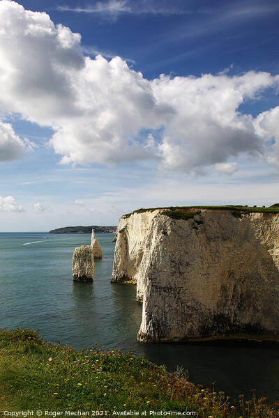 Chalk Pillars Towering Above Jurassic Coast Picture Board by Roger Mechan