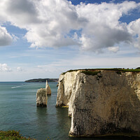 Buy canvas prints of Chalk Pillars Towering Above Jurassic Coast by Roger Mechan