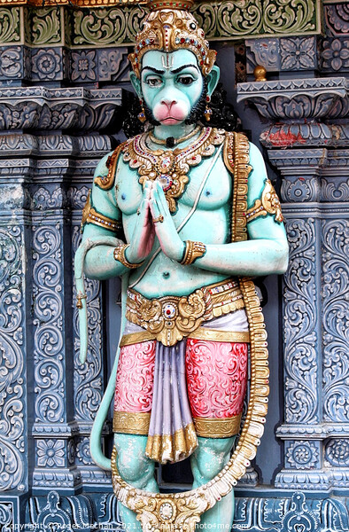Hanuman, Son of Pawan Picture Board by Roger Mechan