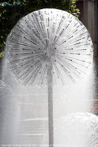Dandelion Fountain: A Captivating Oasis Picture Board by Roger Mechan