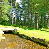 Buy canvas prints of Serenity of Burrator Forest by Roger Mechan