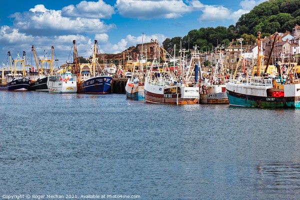 Bustling Fishing Industry Picture Board by Roger Mechan