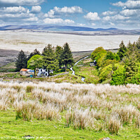 Buy canvas prints of Princetown's Lush Moorland View by Roger Mechan