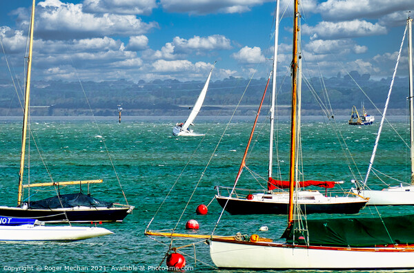 Sailing in the Solent on choppy water Picture Board by Roger Mechan