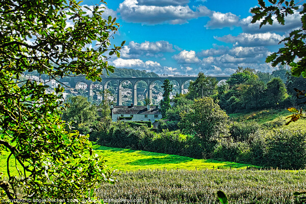 Arched Beauty over River Tamar Picture Board by Roger Mechan