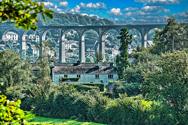 Arched bridge of Calstock Picture Board by Roger Mechan
