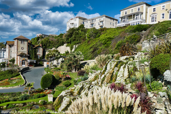 Ventnor botanical Gardens Isle of Wight Picture Board by Roger Mechan