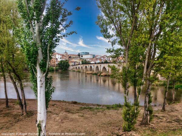 Bridge over the river Duero to Zamora, Spain Picture Board by Roger Mechan