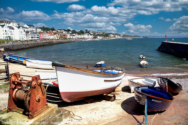 Serenity in Dawlish Harbour Picture Board by Roger Mechan