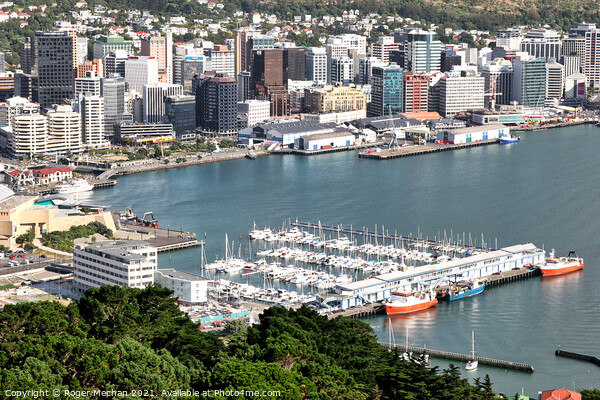 Wellington's Bustling Harbour Picture Board by Roger Mechan
