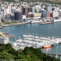 Buy canvas prints of Wellington's Bustling Harbour by Roger Mechan