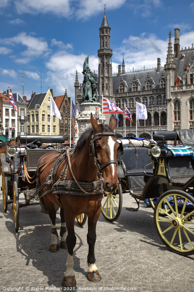 Regal Horse Carriage in Bruges Picture Board by Roger Mechan
