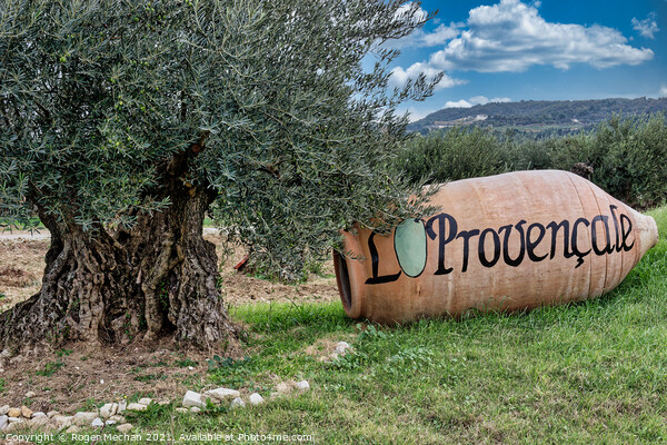 Provençal Olive Grove Splendor Picture Board by Roger Mechan