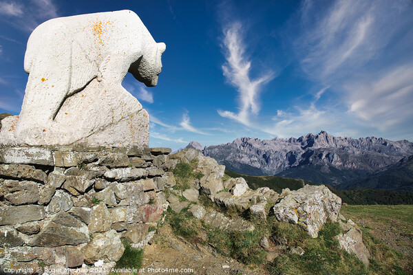White Stone Bear Stands Watch Picture Board by Roger Mechan