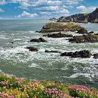 Buy canvas prints of Thrift Blooms at Hartland Point by Roger Mechan